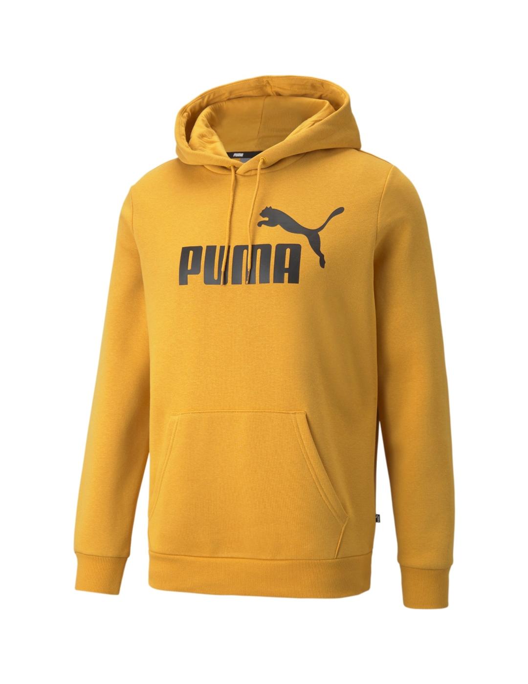 Sudadera con capucha para hombre Essentials Big Logo